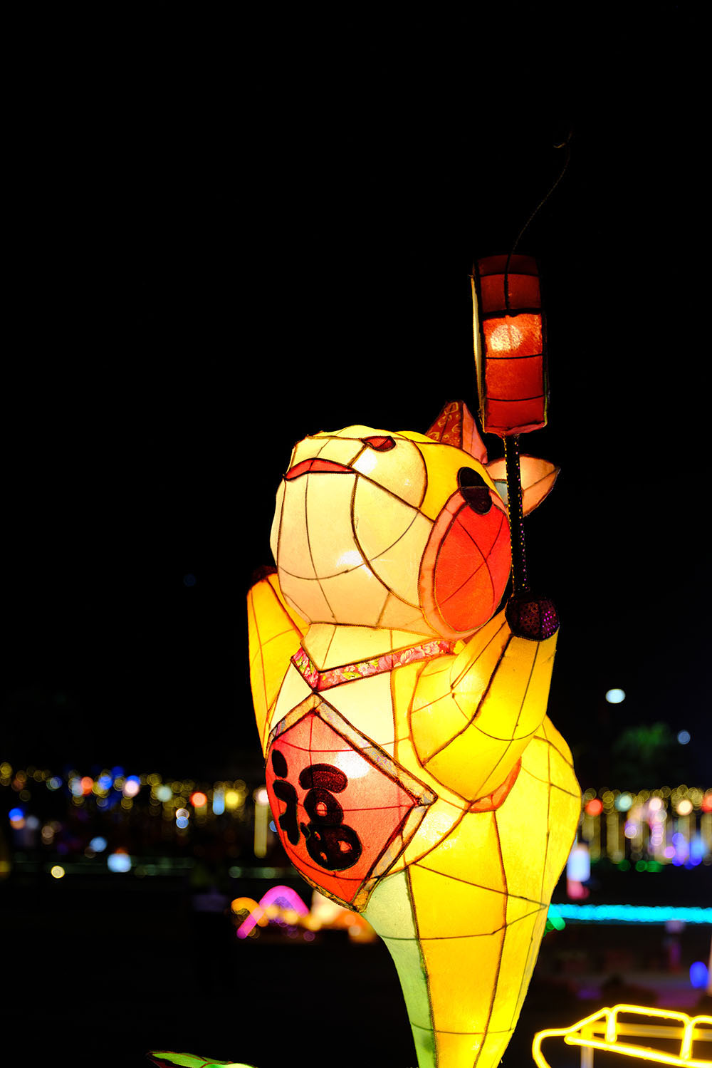 Lotus Reflecting Blessed Light