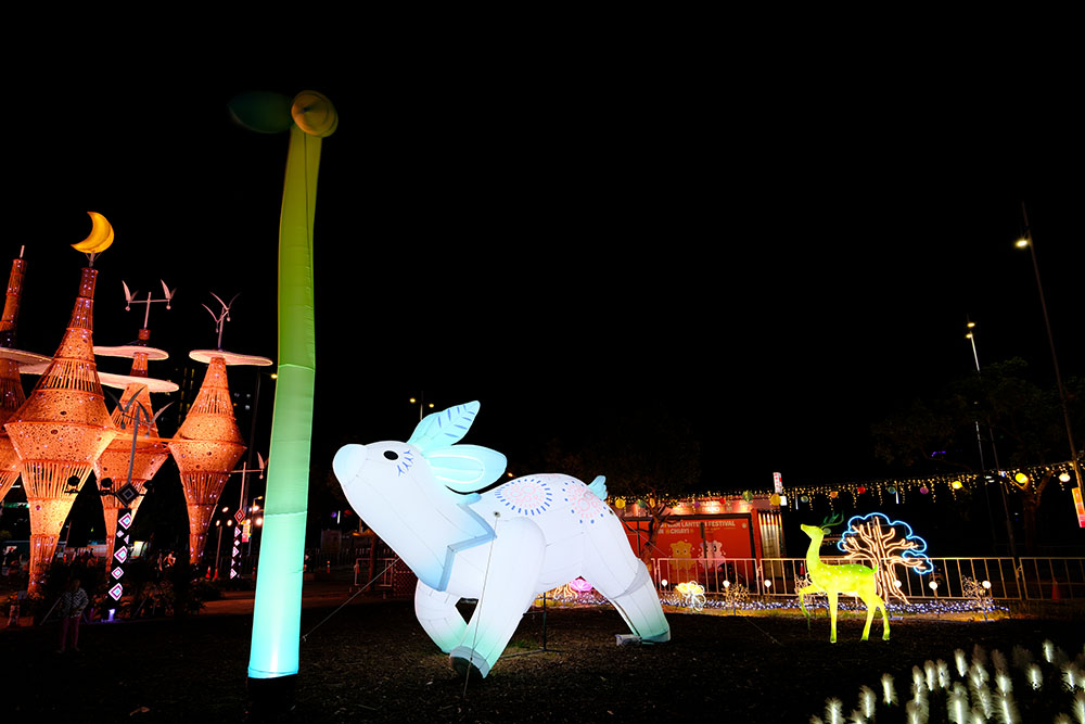 Weave of Nourishment · Small-leaf Mulberry