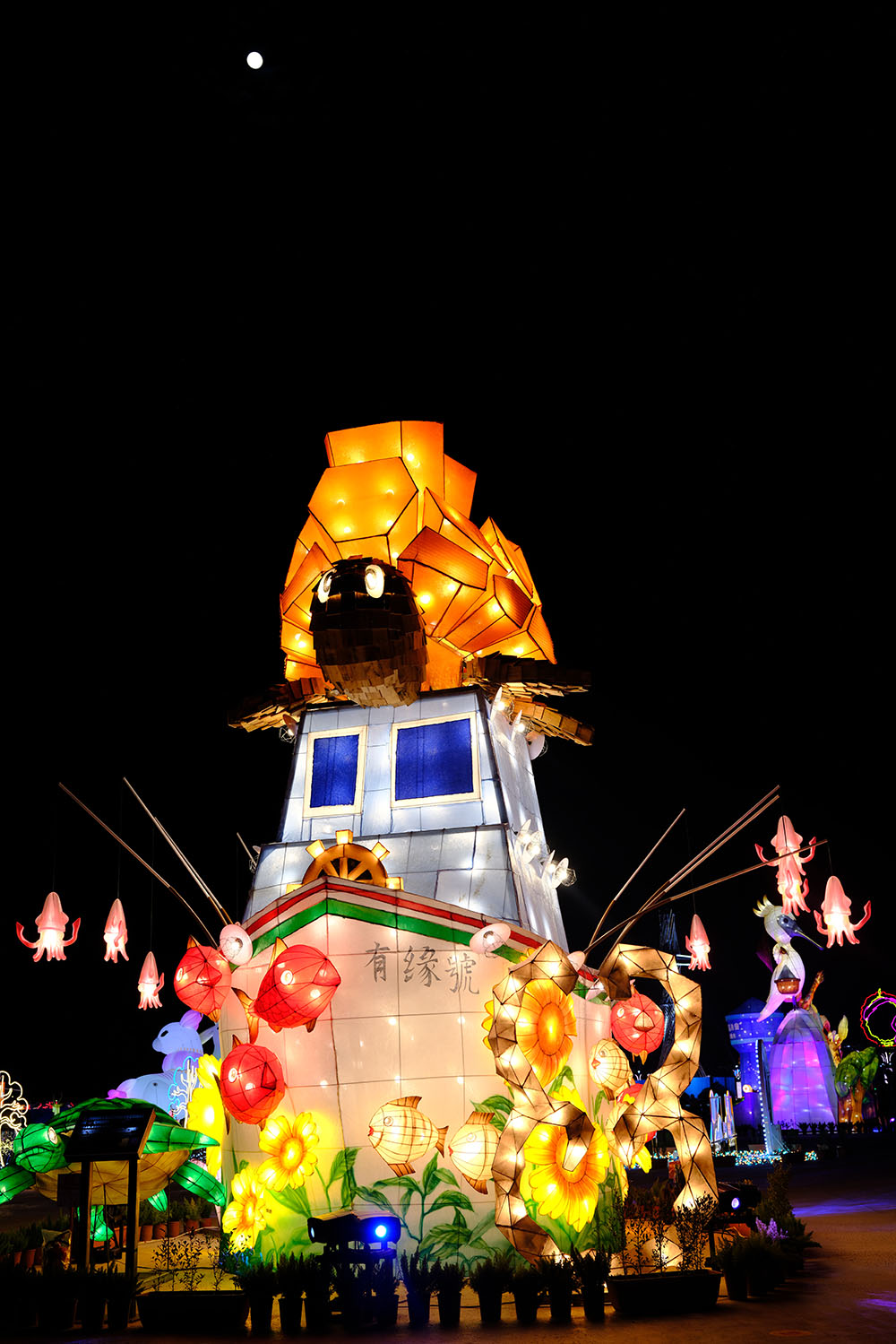 Tidebound Chrysanthemums: The Golden Turtle of Good Fortune (&amp;amp;quot;Lucky Match&amp;amp;quot;)