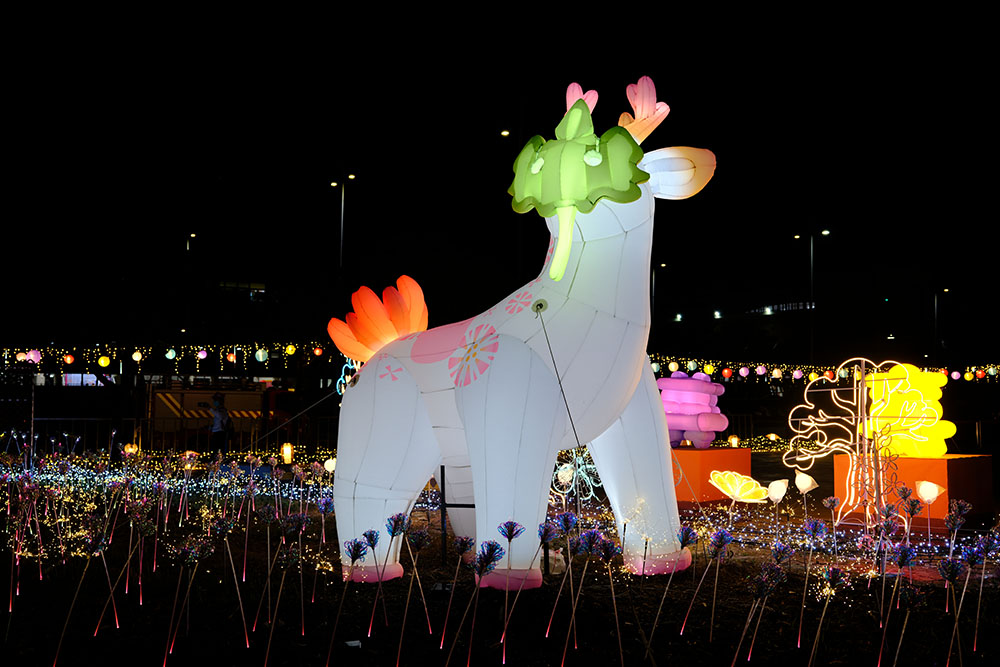 Call of Ancient Roots · Paper Mulberry