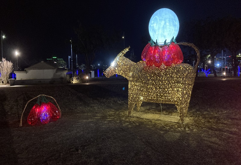 A Lantern Parade of Joy