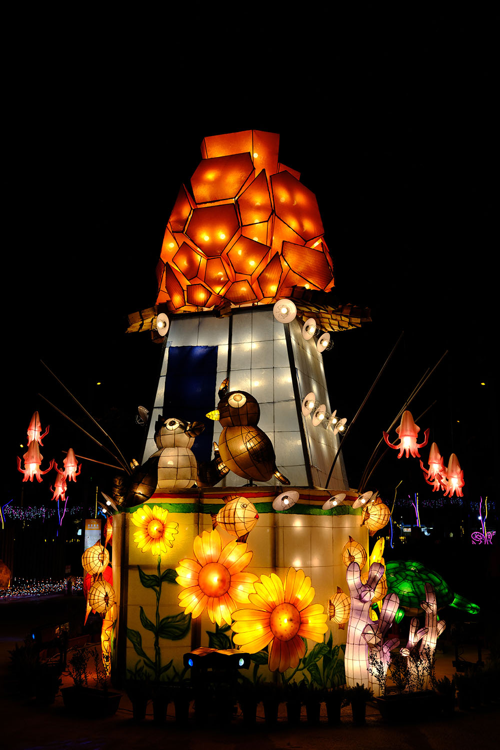 「潮境の菊」金武の縁亀（深いご縁）