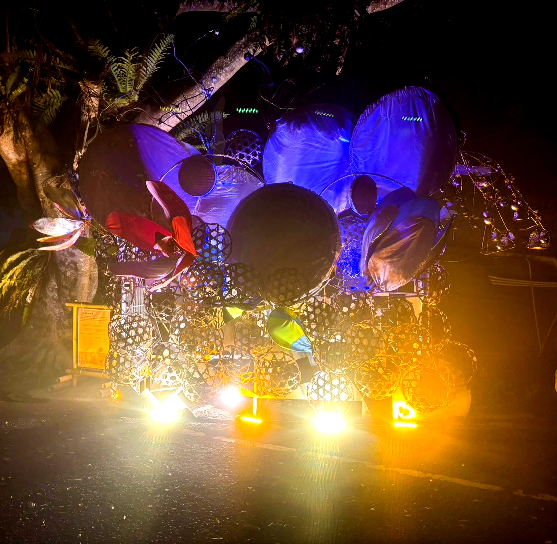 메이산(梅山) 향