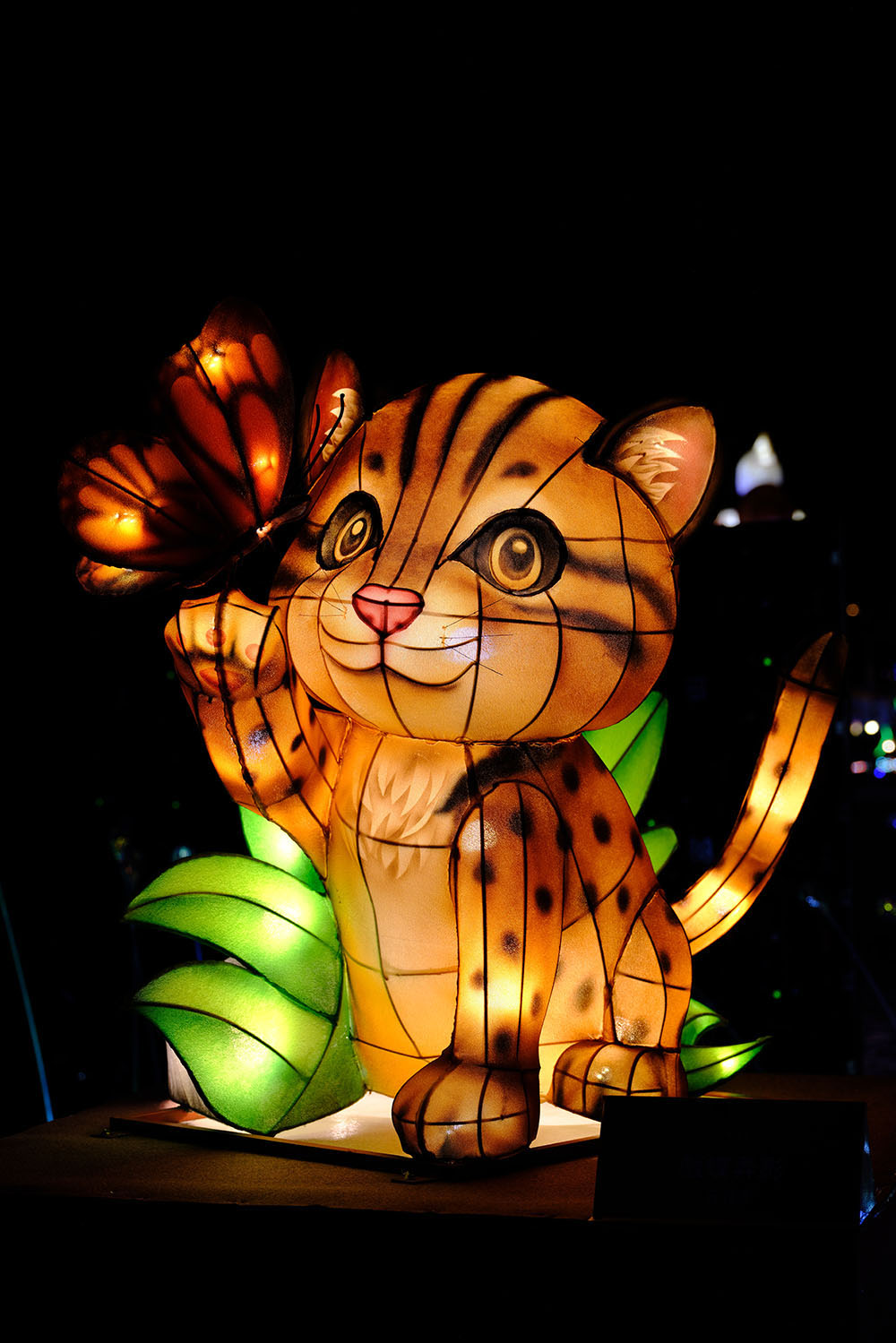 나비와 노니는 그림자 (삵의 유희)